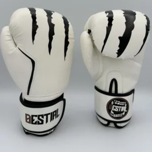 gants de boxe